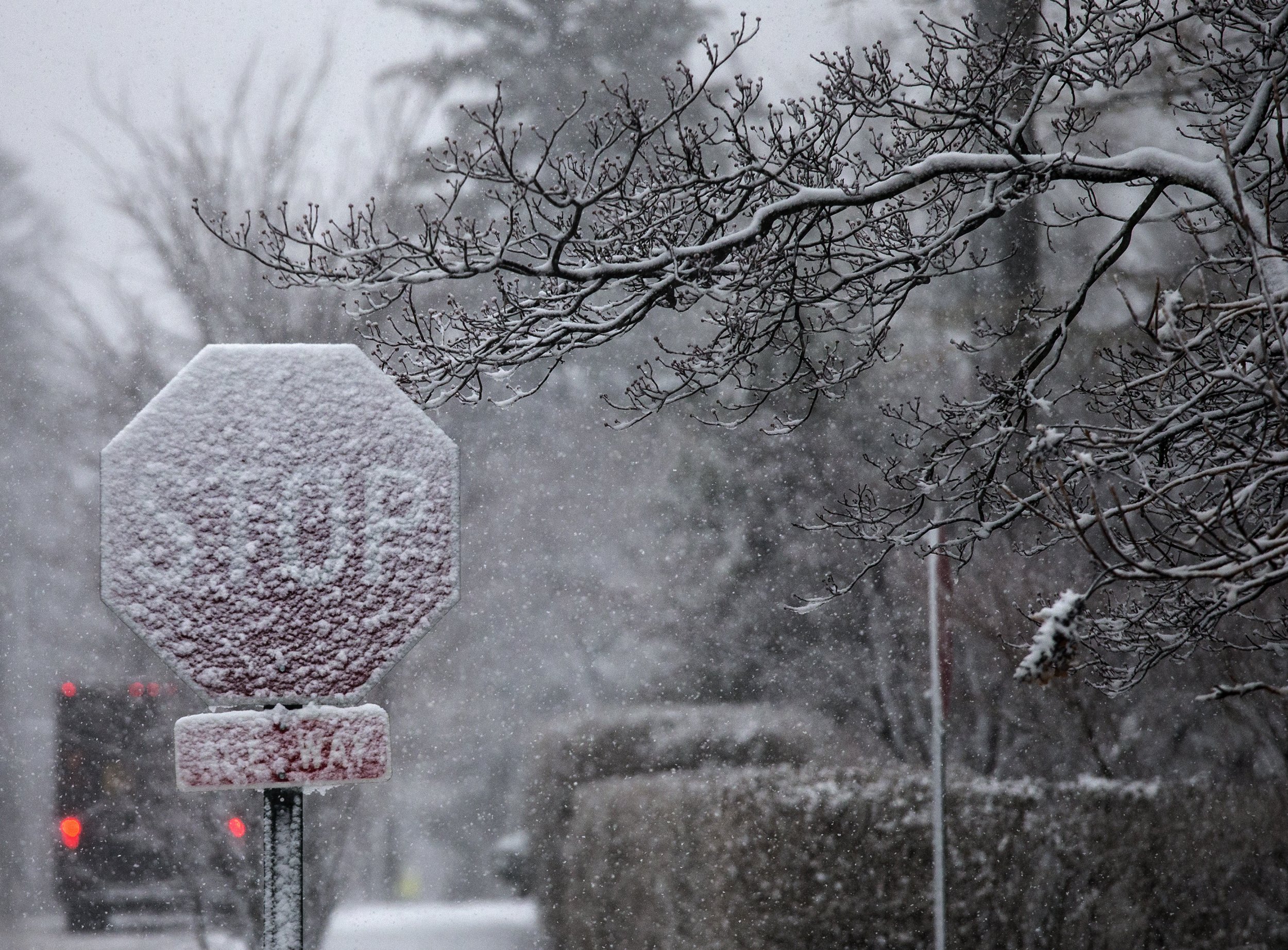 Метель голова 5. Ледяной дождь. Ледяной дождь природа. Снег в Айове. Ранний снегопад летистич купить.